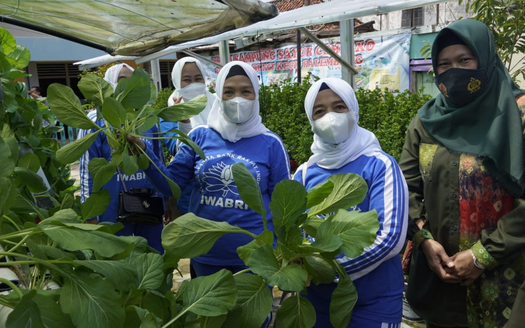 KUNJUNGAN DI KAMPUNG SAYUR