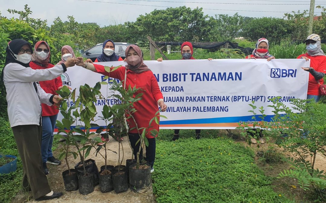 PEMBERIAN BIBIT TANAMAN KE BPTU HPT SEMBAWA