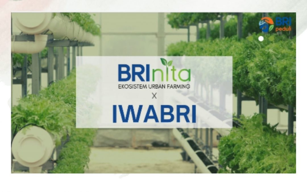 Sosialisasi BRINita x IWABRI